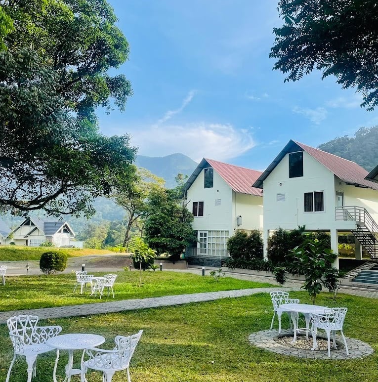 Zero degree jungle resort.