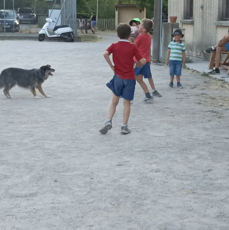 Team spirit