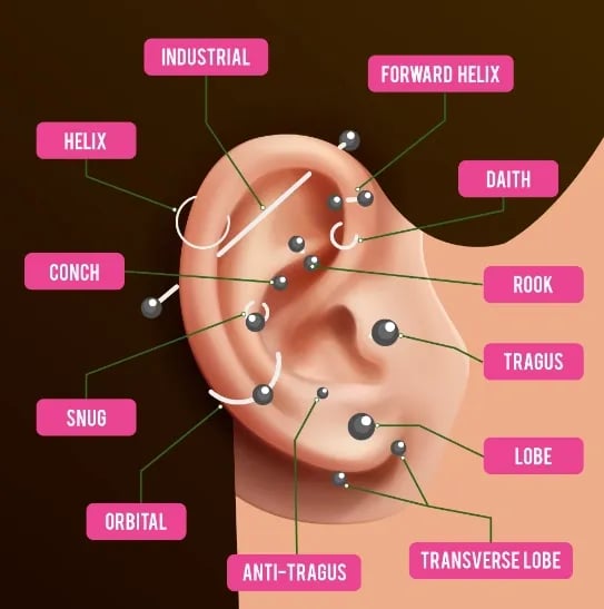 a diagram of a human earring with a diagram of the earrings