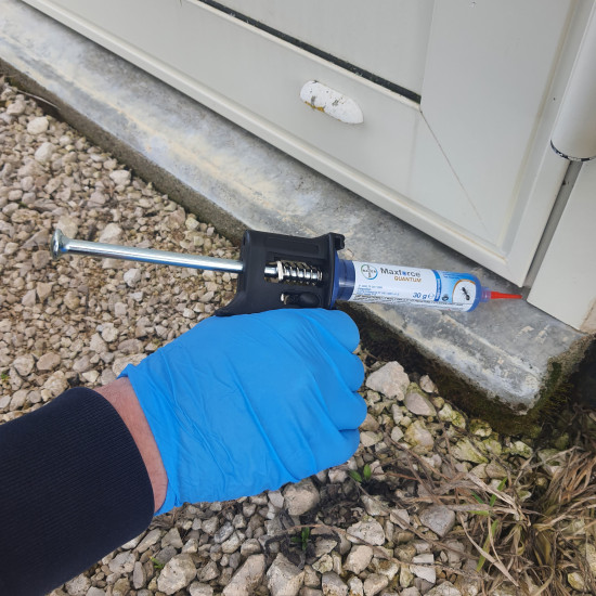 Gel professionnel fourmis