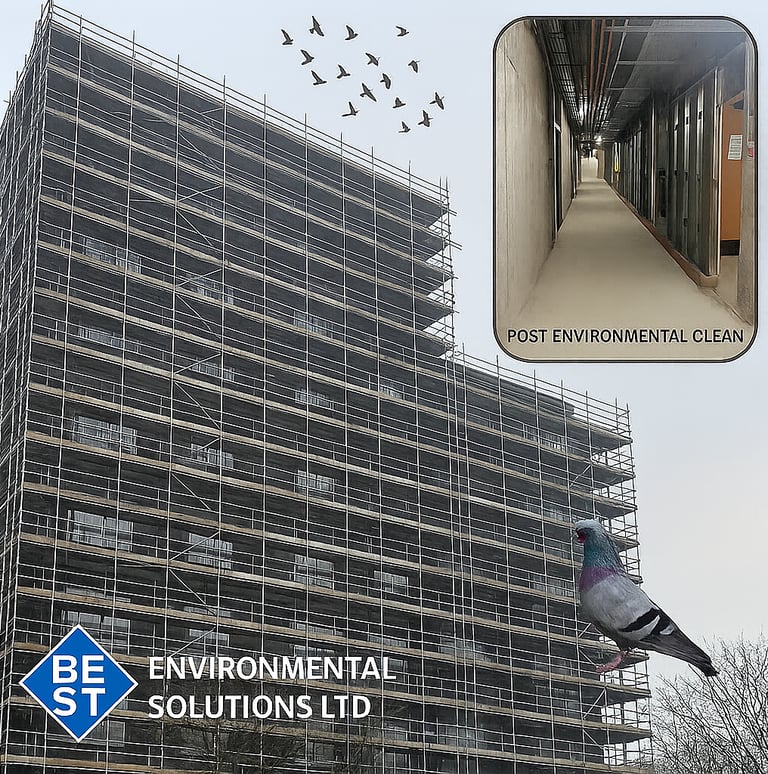 bird dropping cleaning Essex