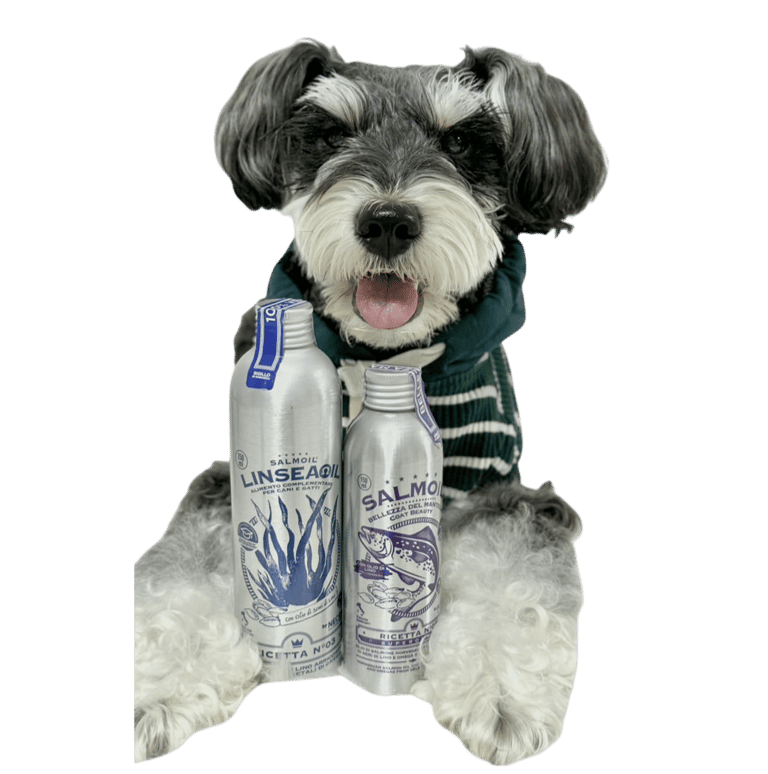 schnauzer with healthy shiny coat from Salmoil fish oil