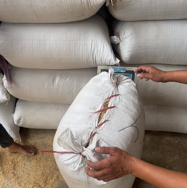 packaging and documentation support for raw rice husk