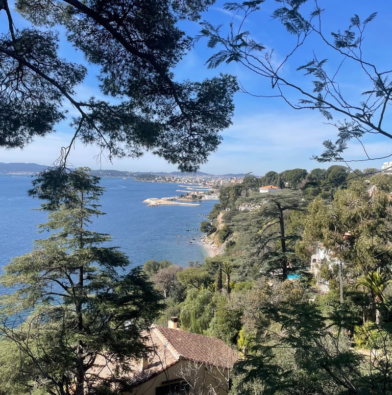 Toulon vu du Cap Brun