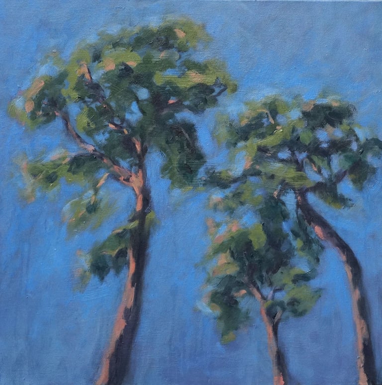 sybille ingold peintre pins sylvestres foret de fontainebleau