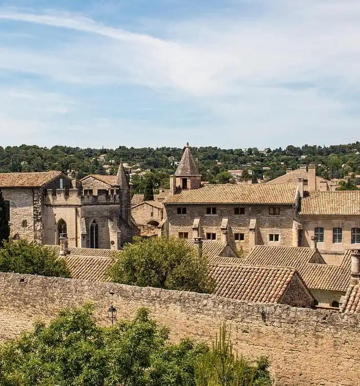 monastère de De Villeneuve à Avignon