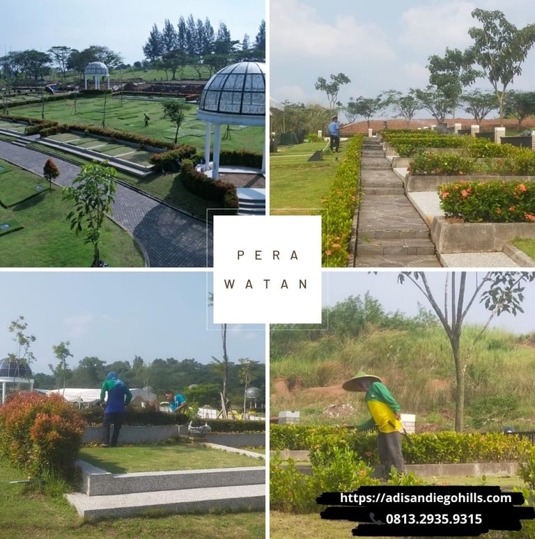 Petugas kebersihan sedang melakukan pemeliharaan rumput dan penyiraman taman secara rutin