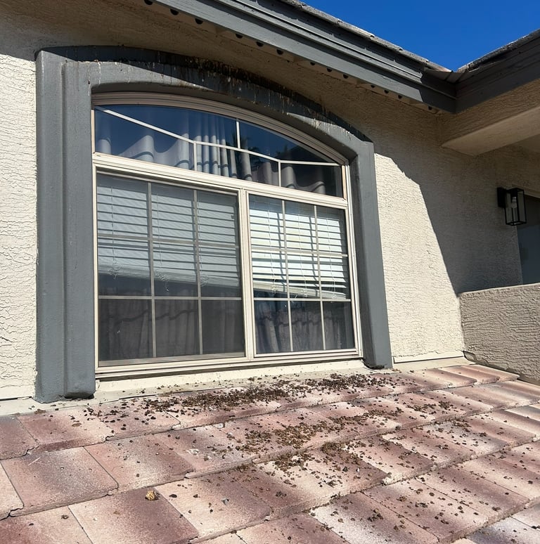 Heavy pigeon nesting and droppings under solar panels before and after professional cleanup.