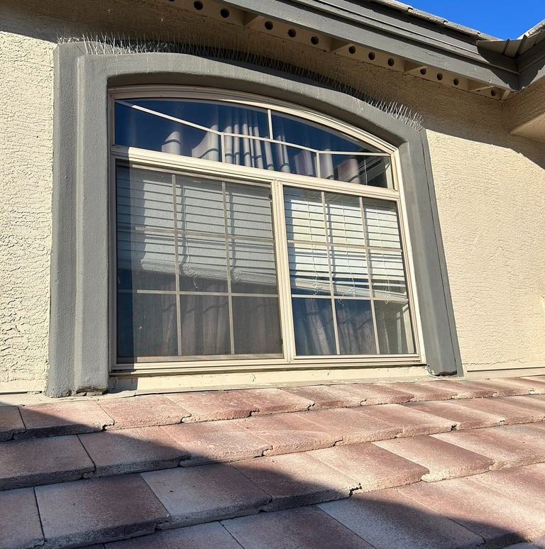 Heavy pigeon nesting and droppings under solar panels before and after professional cleanup.