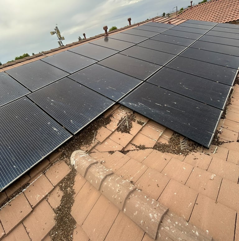 bird droppings pigeon poop under solar panels before cleanup Phoenix roof