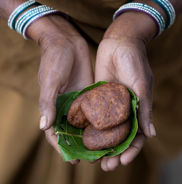 Food items and cuisines made from Mahua flower by Baiga tribe of Bandhavgarh Madhya Pradesh India