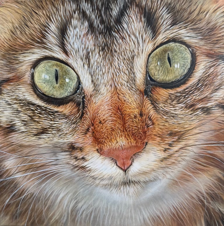 peinture animalière d'un chat
