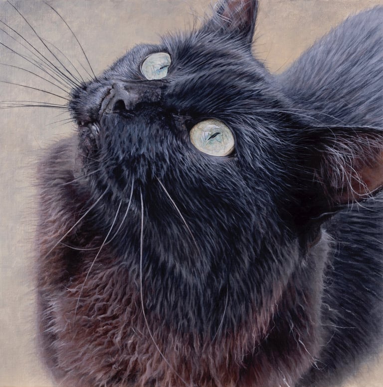 peinture animalière d'un chat noir