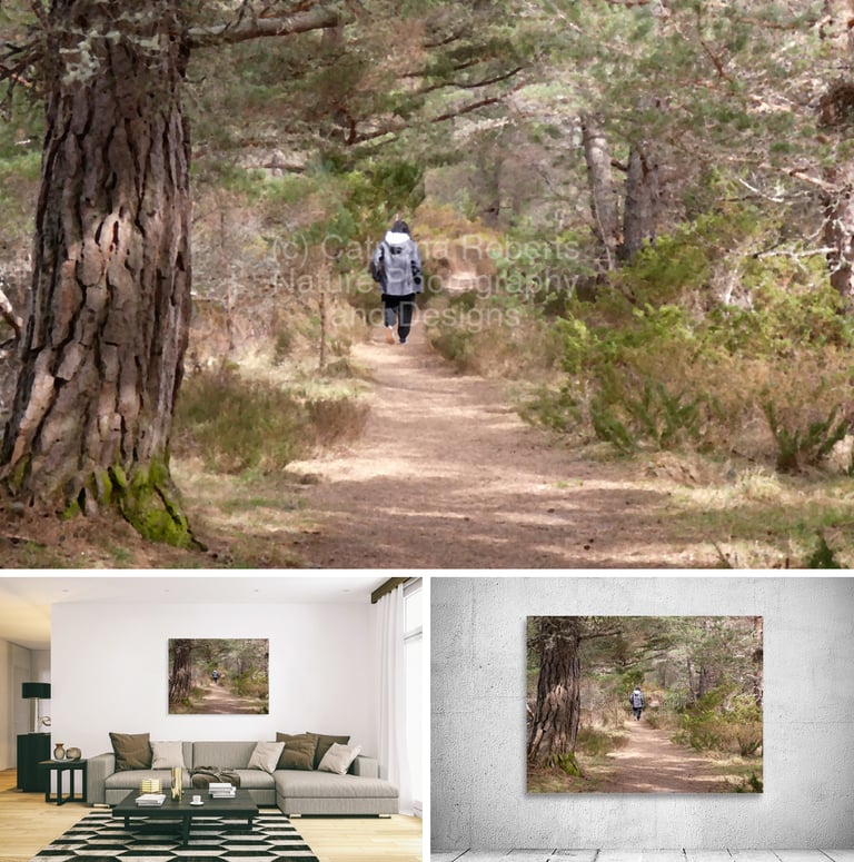 A person walking on a nature path through a forest.