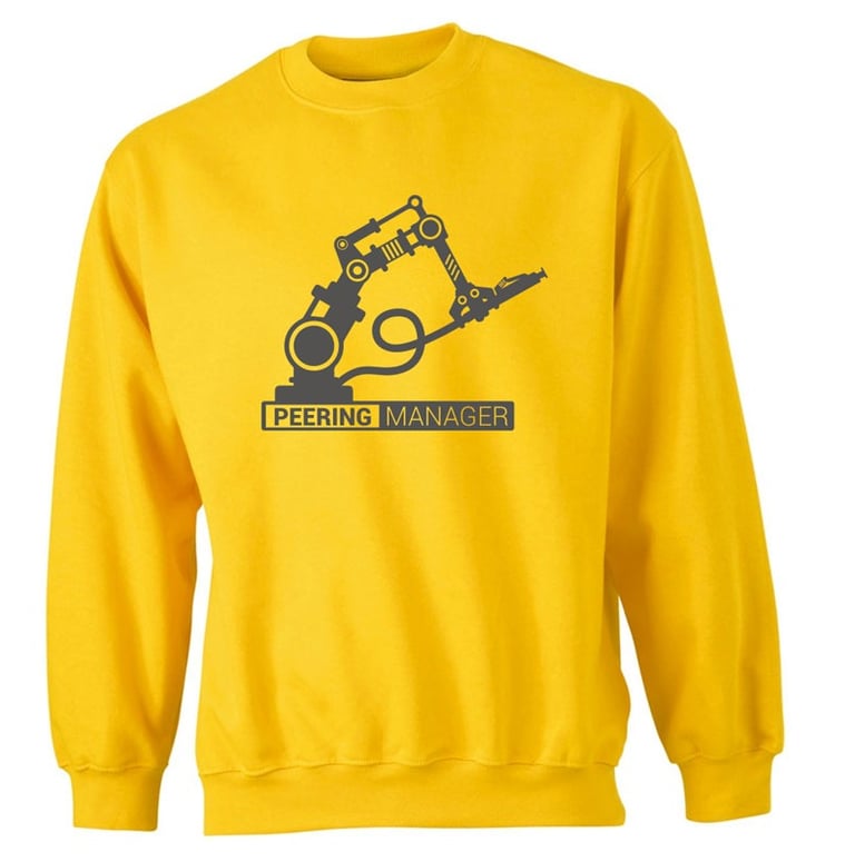 Logo Peering Manager