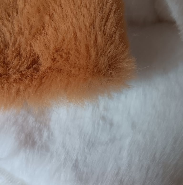tissu rabbit