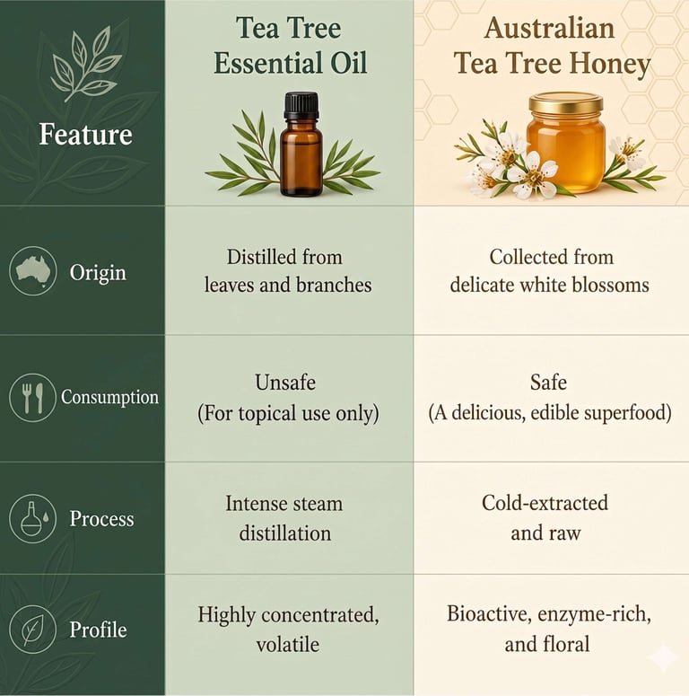 Comparison chart of Tea Tree Essential Oil versus Australian Tea Tree Honey showing origins and consumption safety.
