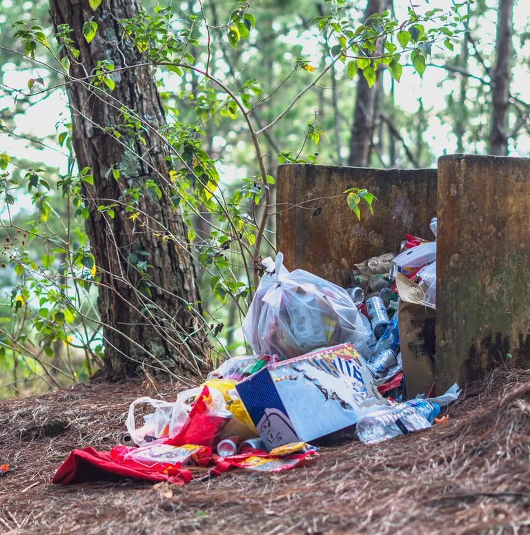 Various garbage thrown in the nature