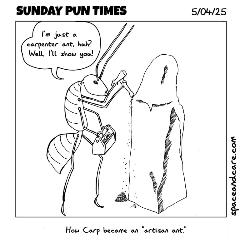 A carpenter ant becoming an artist.