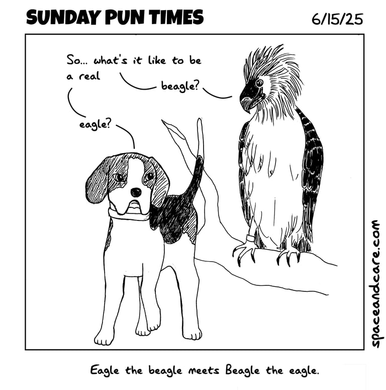 A beagle named Eagle meets an eagle named Beagle.