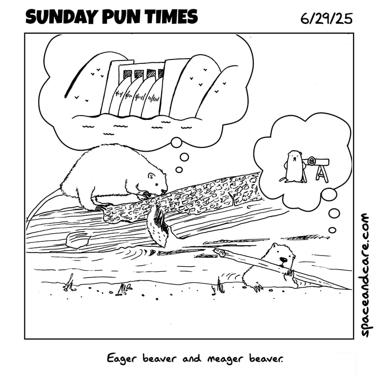 Two beavers getting wood to build something; one wants a big dam, the other wants a barricade.