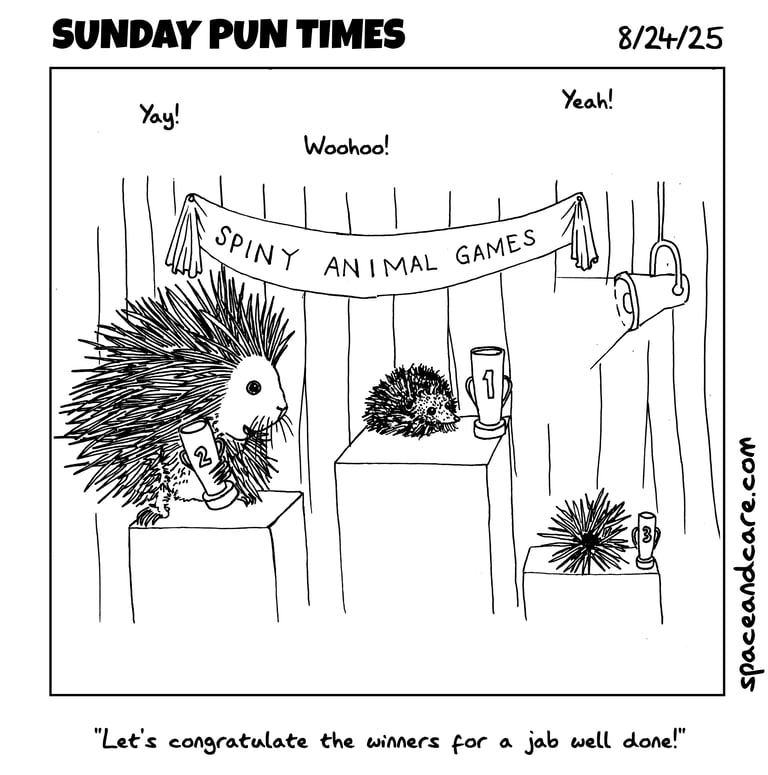 A procupine, a hedgehog, and a sea urchin win prizes at the spiny animal games.