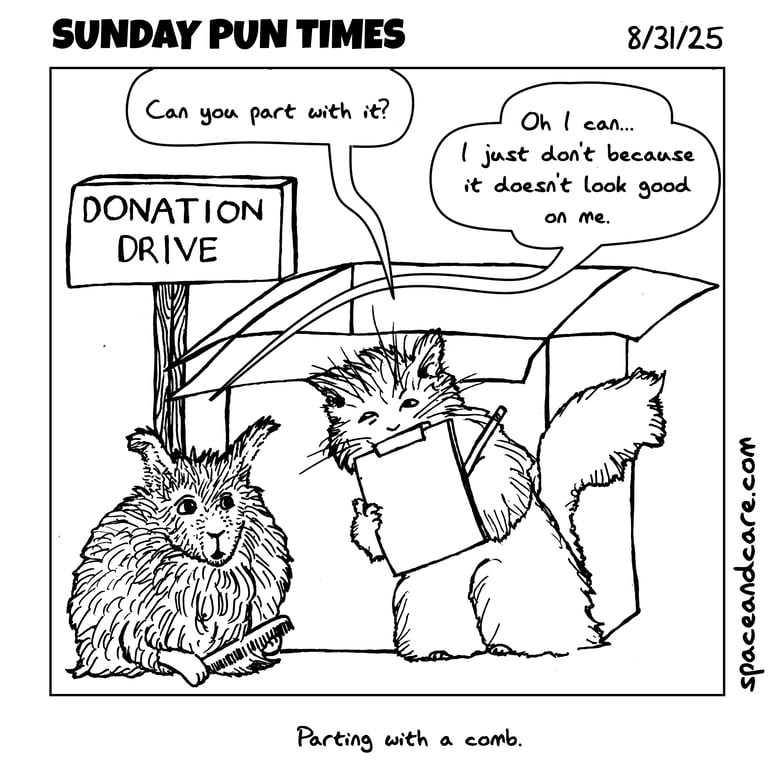 A rabbit donating a comb to a cat.