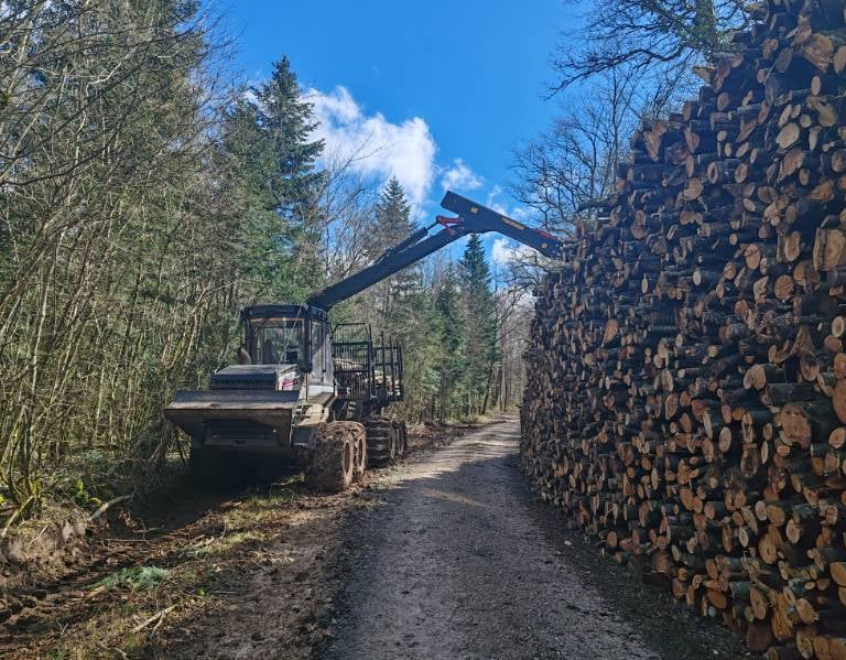 Exploitant forestier