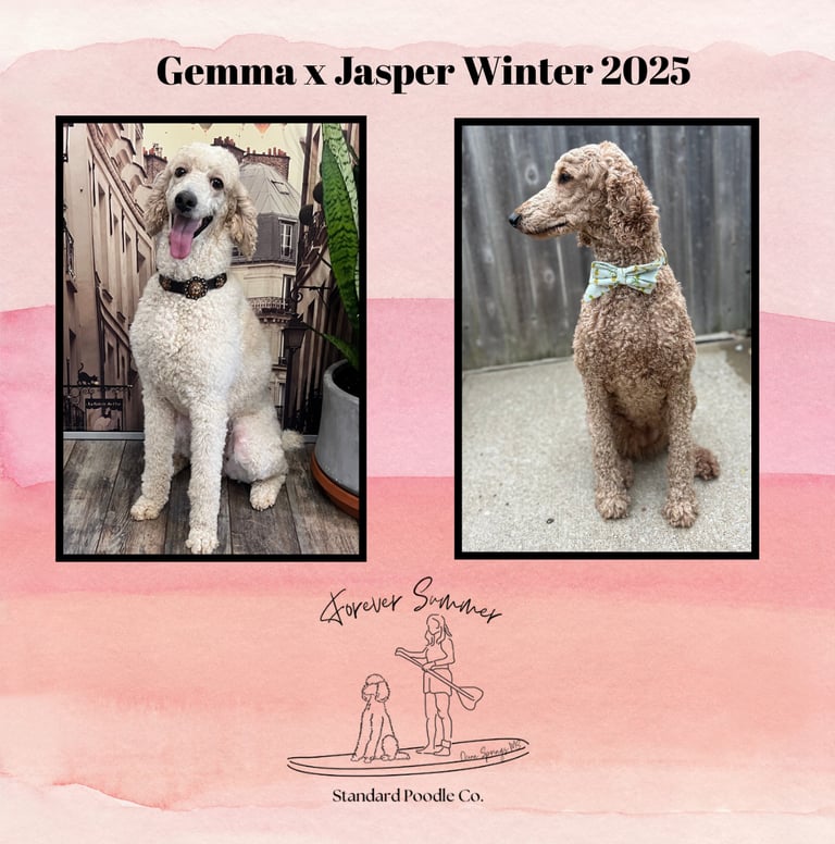 planned litter gemma jasper