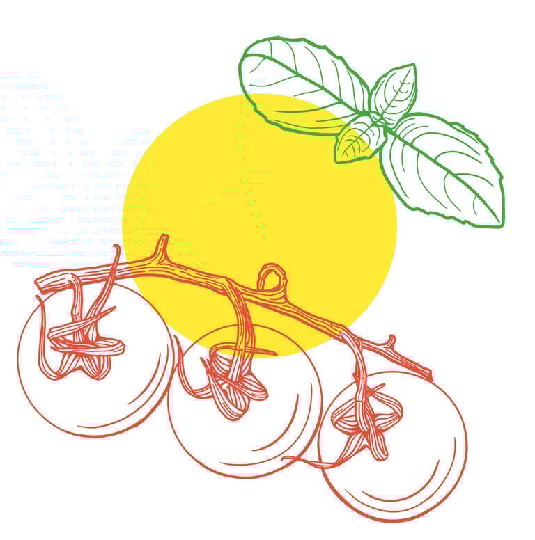 Basil tomatoes line illustration