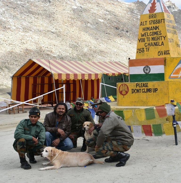 Dog Boarding, Dog Boarding near me, Pet Boarding, Pet Boarding near me, Dog Care, Happy Pettings