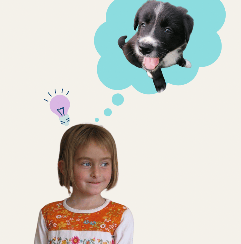 histoire du salon toutouka et lilipad