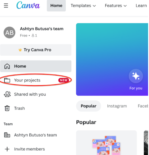 how to use canva instructions