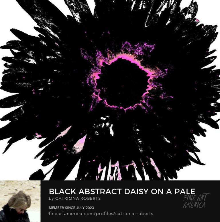 Image of Floral Digital Art- Black Abstract Daisy on a Pale Abstract Background