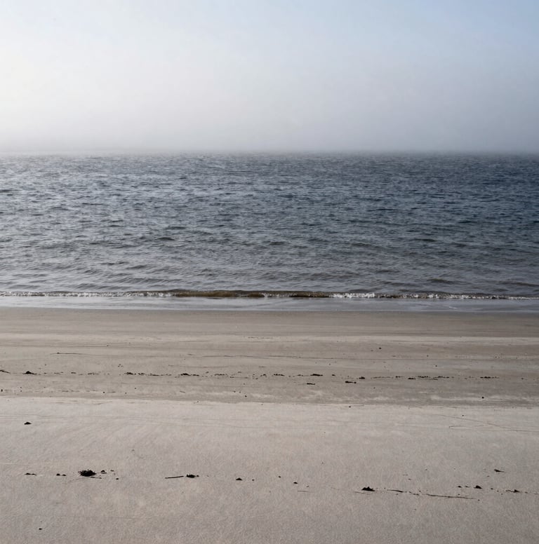 Large vertical landscape photograph of a desolate, mist-covered coastline in Northern Europe. The water is a dark charcoal, the sand a pale stone gray, and the sky a soft white. The composition is extremely minimal, focusing on the horizontal layers of the landscape.