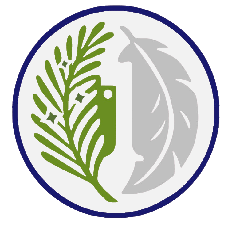 Cedroswan Logo