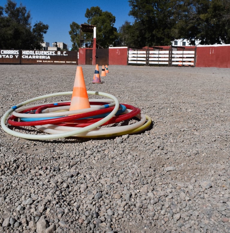 a ring of fire hydrant with orange cones and cones