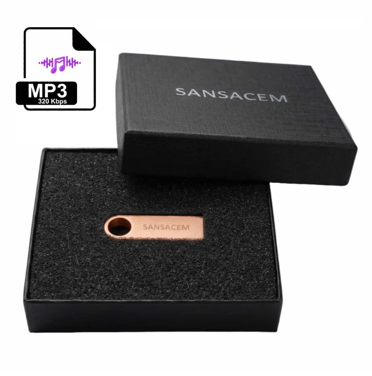 clé USB audio sansacem musique libre de droits d'auteur