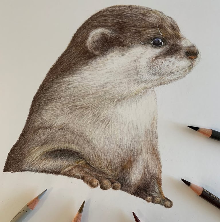 Otter