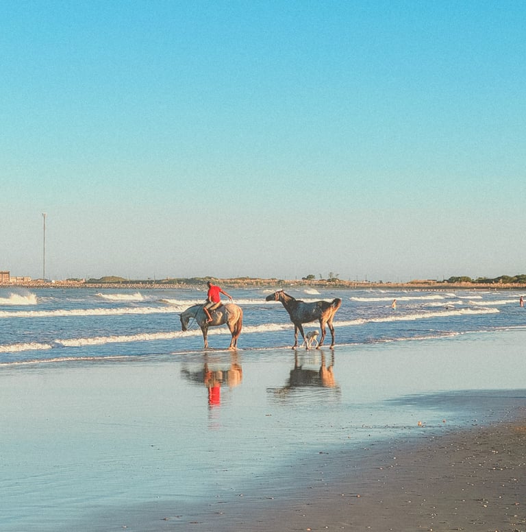 Horses on the beach in Uruguay