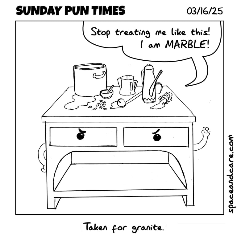 One-panel comic: A messy marble kitchen counter complains. Caption: Taken for granite.
