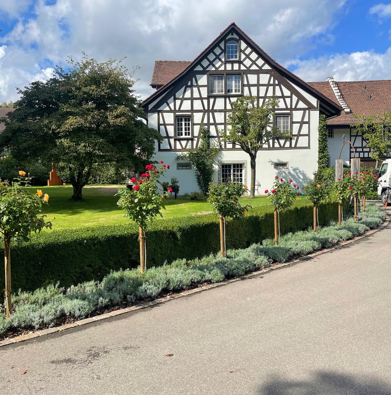 Heckenschnitt und Gartenpflege in Bülach – J. Landolt Gartenbau bülach