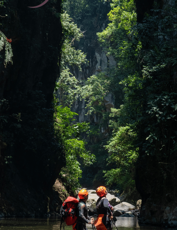 ruta de la orquidea en coatepec cañon de pextlan