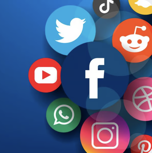 Social Media Coordinator Volunteer. 365 We Thrive.