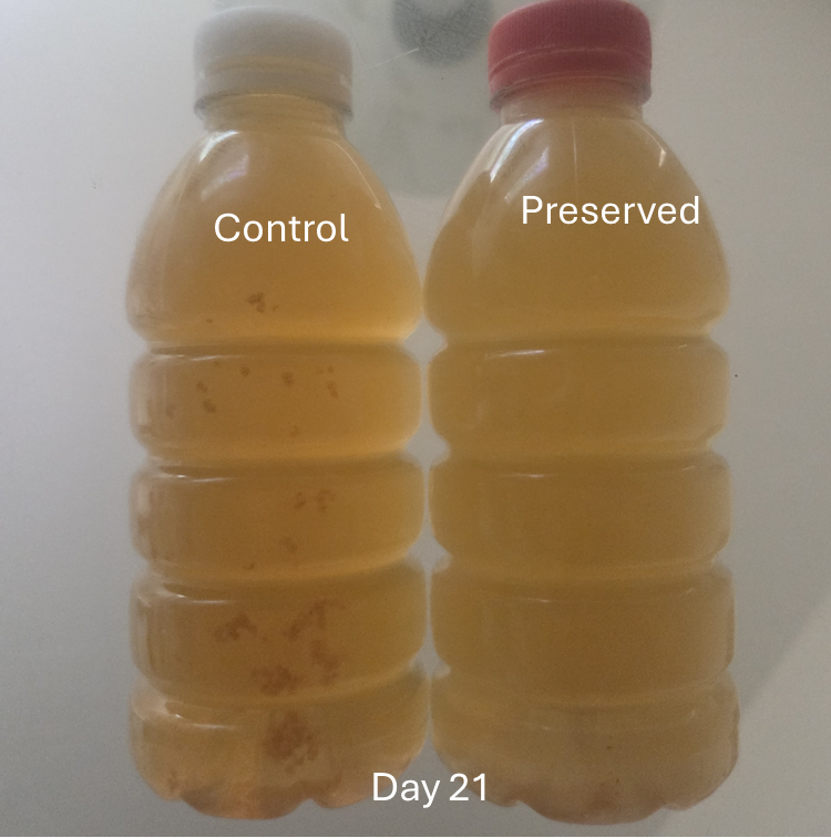 Green tea preservation