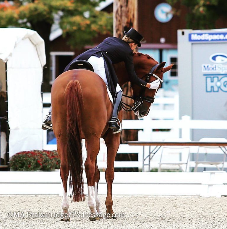 Lisa Wilcox finishing a Grand Prix test on a tall chestnut gelding