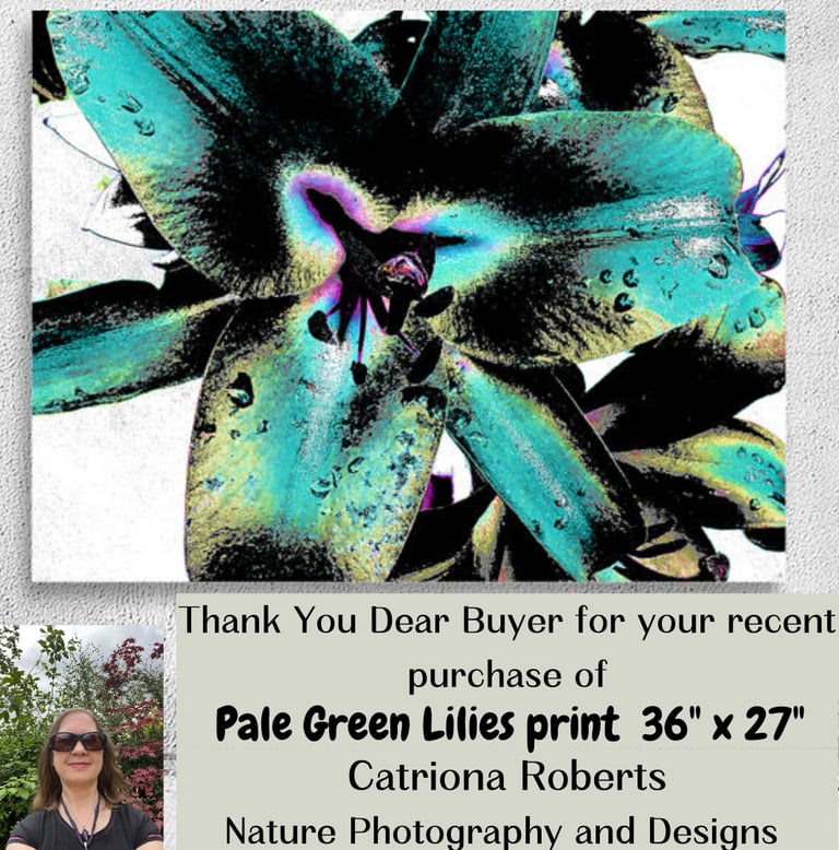 Digital image of floral art on a Canvas Print.