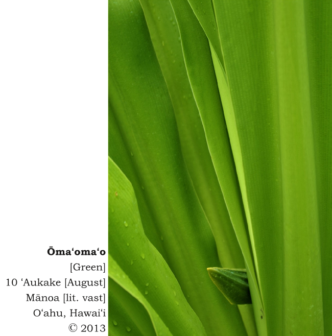 Ōmaʻomaʻo [Green] - 10 ʻAukake [August] Mānoa [lit. vast], Oʻahu, Hawaiʻi © 2013