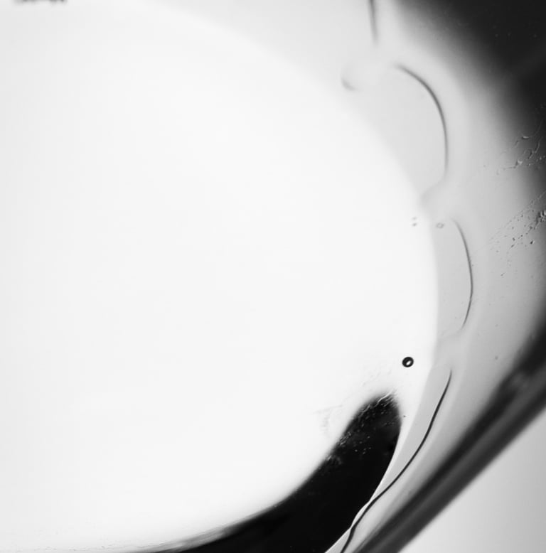 Jambe du vin dans un verre  photo en noir et blanc