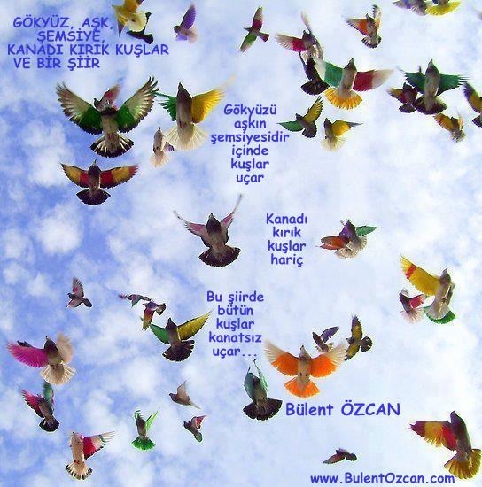 Gökyüzü, Aşk, Şemsiye, Kanadı Kırık Kuşlar Ve Bir Şiir, Şiir, Bülent Özcan